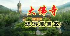 啊,大鸡巴,我要,好舒服视频中国浙江-新昌大佛寺旅游风景区